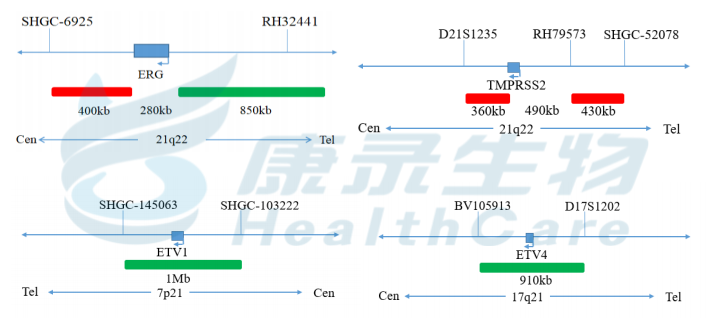 中国·拉斯维加斯(3499·官方认证)网站-Officialwebsite